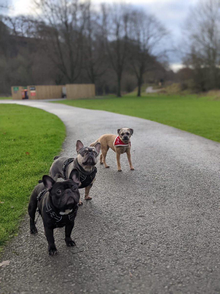 Danny Pollard tweet media