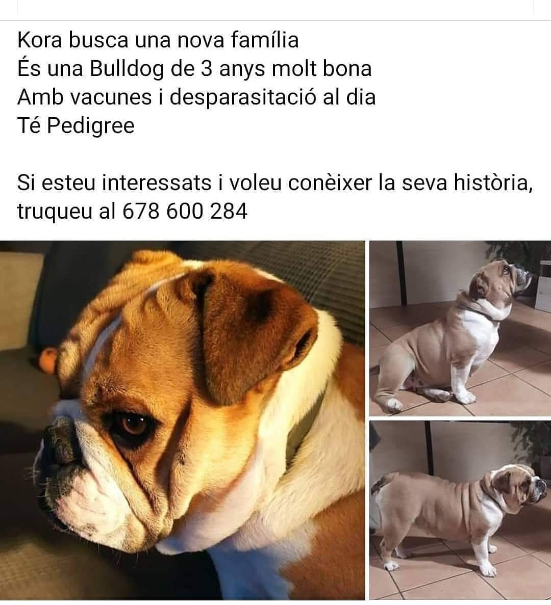 Anna Sagués tweet media