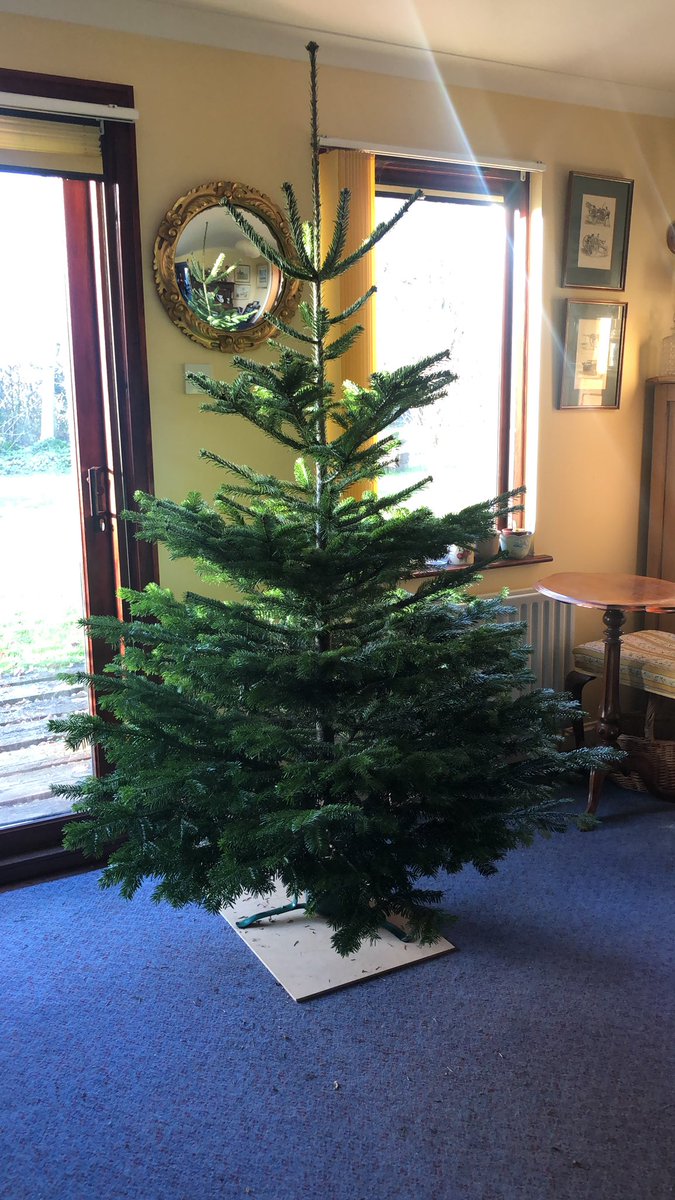 Rosyhardy62's tweet photo. Disaster darling!!!!
I have no lights for the 🌲 so the decorations will have to wait until tomorrow when I go out and buy some new ones...#Christmastree #decorating #disaster #needlights https://t.co/krb72O8Zz2