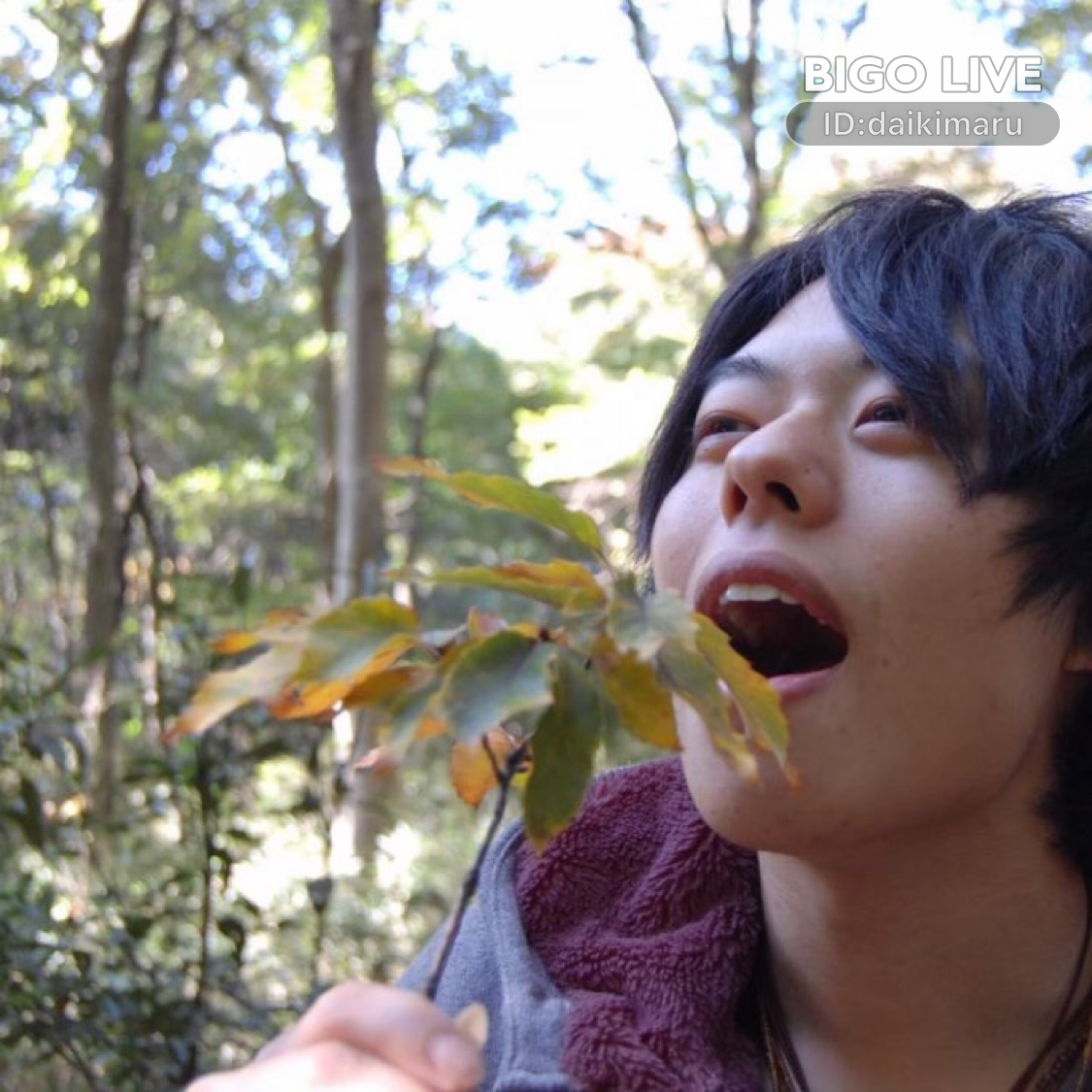 hiro75074's tweet photo. だいきまる🦥さんが#BIGOLIVEで配信してるよ！今すぐチェック: #弾き語り 初めてまして！！！   https://t.co/W70anYPmw5
https://t.co/nvLApHEzqQ https://t.co/9k56H0hgZl
