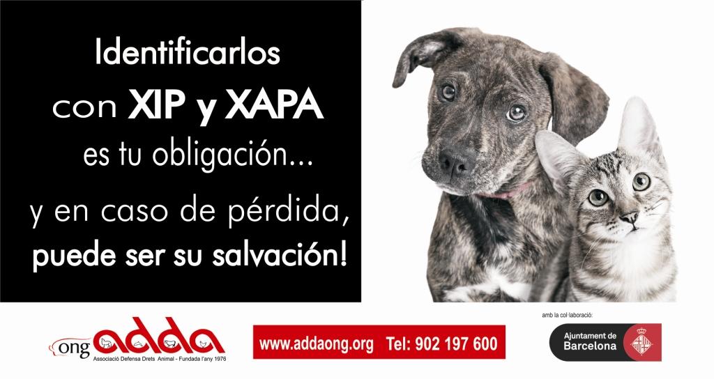 Ong ADDA on Twitter: Ong ADDA on Twitter: