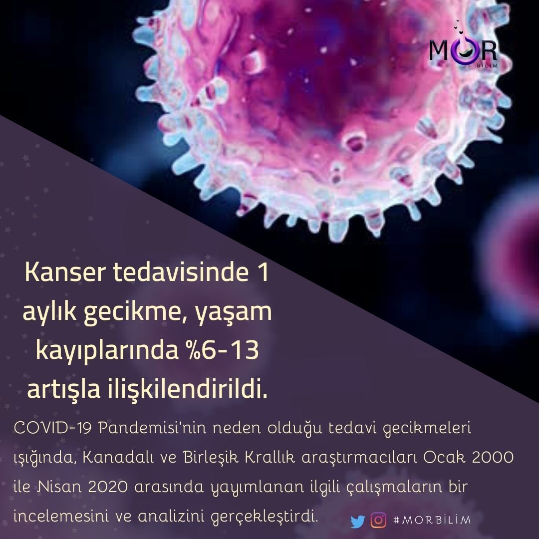 bilimmor's tweet photo. Kanada ve Birleşik Krallık araştırmacılarına göre ,kanser tedavilerinde oluşan 1 aylık gecikmenin,yaşam kayıplarında %6-13 artışa sebep olduğu belirtildi.
#morbilimdergisi #morbilim #bilimelçileri  #kansertedavisi #covid_19 https://t.co/nwAQqKvBas