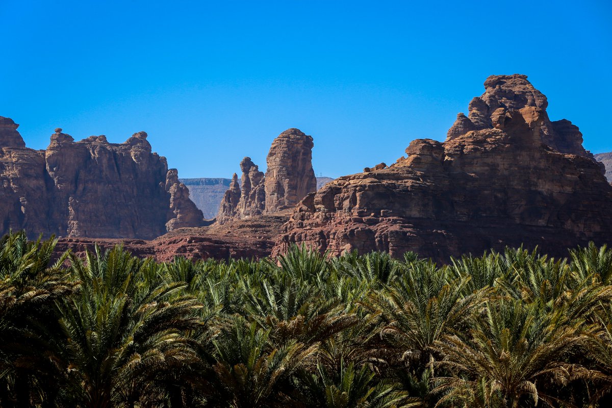 "العلا، هي التواجد في حضرة الجمال الأخاذ بالليل والنهار هي الأرض التي تبعث طاقة الهدوء والسلام، العلا ليست مكانًا لتراه ولكن لتشعر به على الأقل مره واحدة في العمر"

📸 تمارة القباني، مصممة أزياء ومهتمة في السفر

#اكتشف_العلا