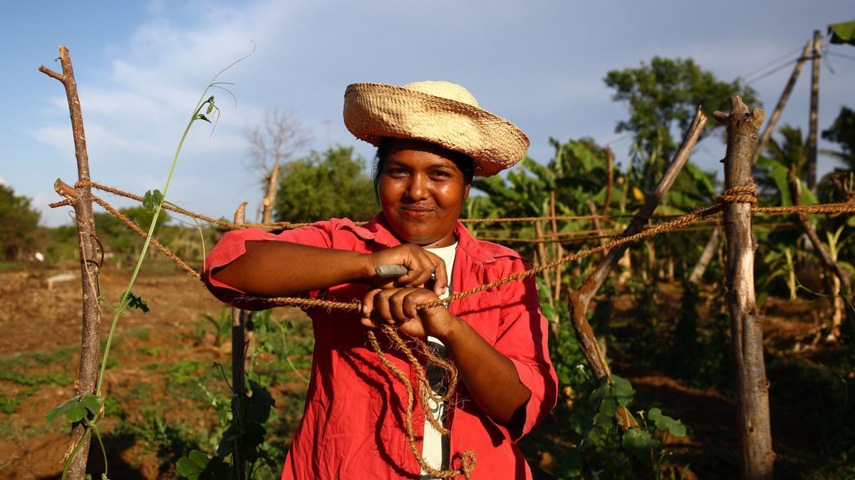 IFAD's tweet photo. 🌽 As raw material producers
🚚 small-business owners
🏷️ retail workers
🍽️ consumers

women help rural agriculture succeed and grow, contributing to food security and nutrition for their families and communities.

#InvestInRuralWomen, invest in healthy communities. https://t.co/6MyAYk8YJ8