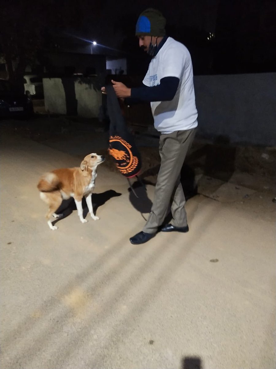 NirmayaF's tweet photo. #dogs #dogsofinstagram #dog #dogstagram #puppy #instadog #doglover #dogoftheday #doglovers #pets #doglife #love #puppylove #pet #puppies #cute #dogsofinsta #puppiesofinstagram #instagram #of #doggo #petsofinstagram #ilovemydog #dogslife #animals #doglove #adoptdontshop #bhfyp https://t.co/iyKq5LON5l