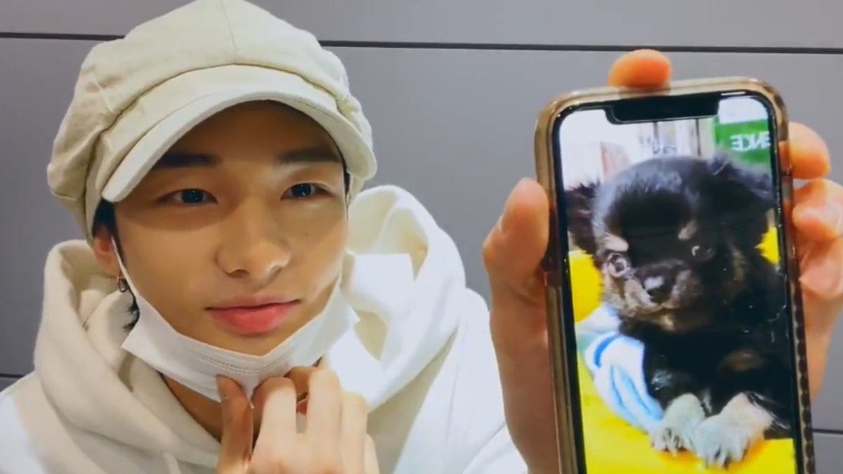 im22wbu's tweet photo. kkomi is hyunjin’s little star who became the light on a place full of darkness. :( https://t.co/uHzO6SJ7Zz