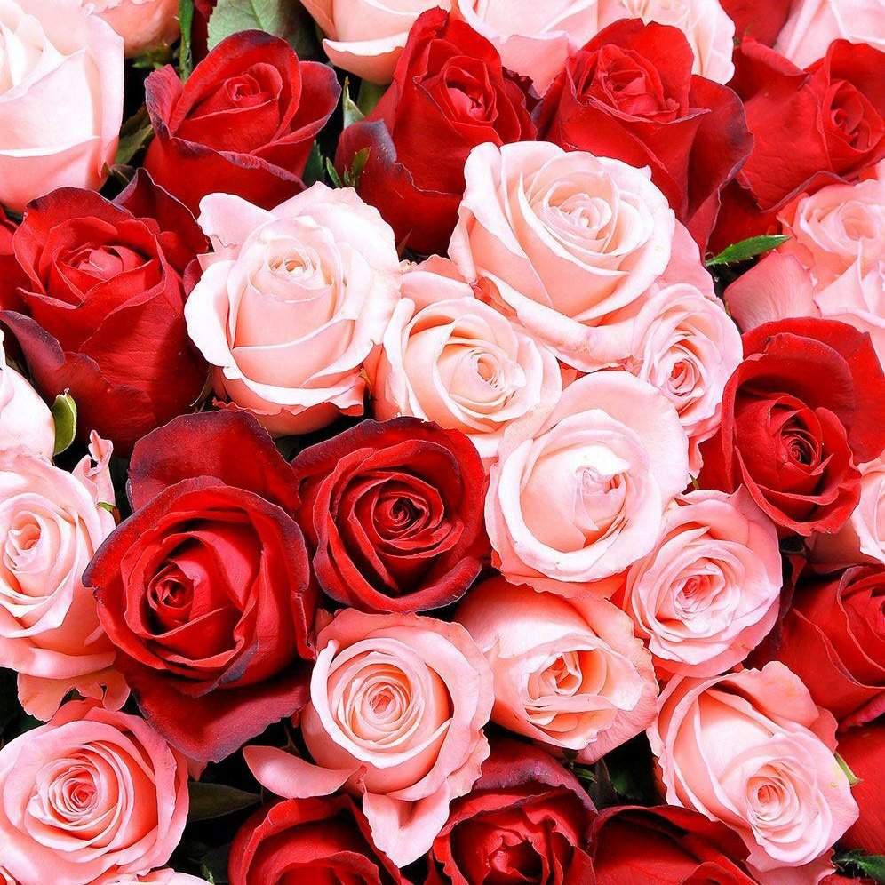 JeanJyne's tweet photo. #NewProfilePic https://t.co/LpZUmvosWQ