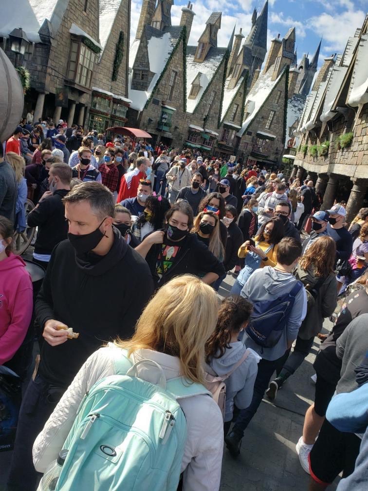 disneywatchdog's tweet photo. @UniversalORL This was Universal Studios Orlando yesterday at 11 A.M.. This is not a limited capacity.

These are the crowds 3 days after a man died on a plane after leaving Disney World.

@RonDeSantisFL has done NOTHING for Floridians but put them in danger. Someone, please help us. https://t.co/A3FnjeyXct
