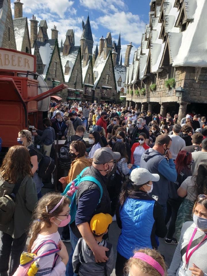 disneywatchdog's tweet photo. @UniversalORL This was Universal Studios Orlando yesterday at 11 A.M.. This is not a limited capacity.

These are the crowds 3 days after a man died on a plane after leaving Disney World.

@RonDeSantisFL has done NOTHING for Floridians but put them in danger. Someone, please help us. https://t.co/b5bjrepzon