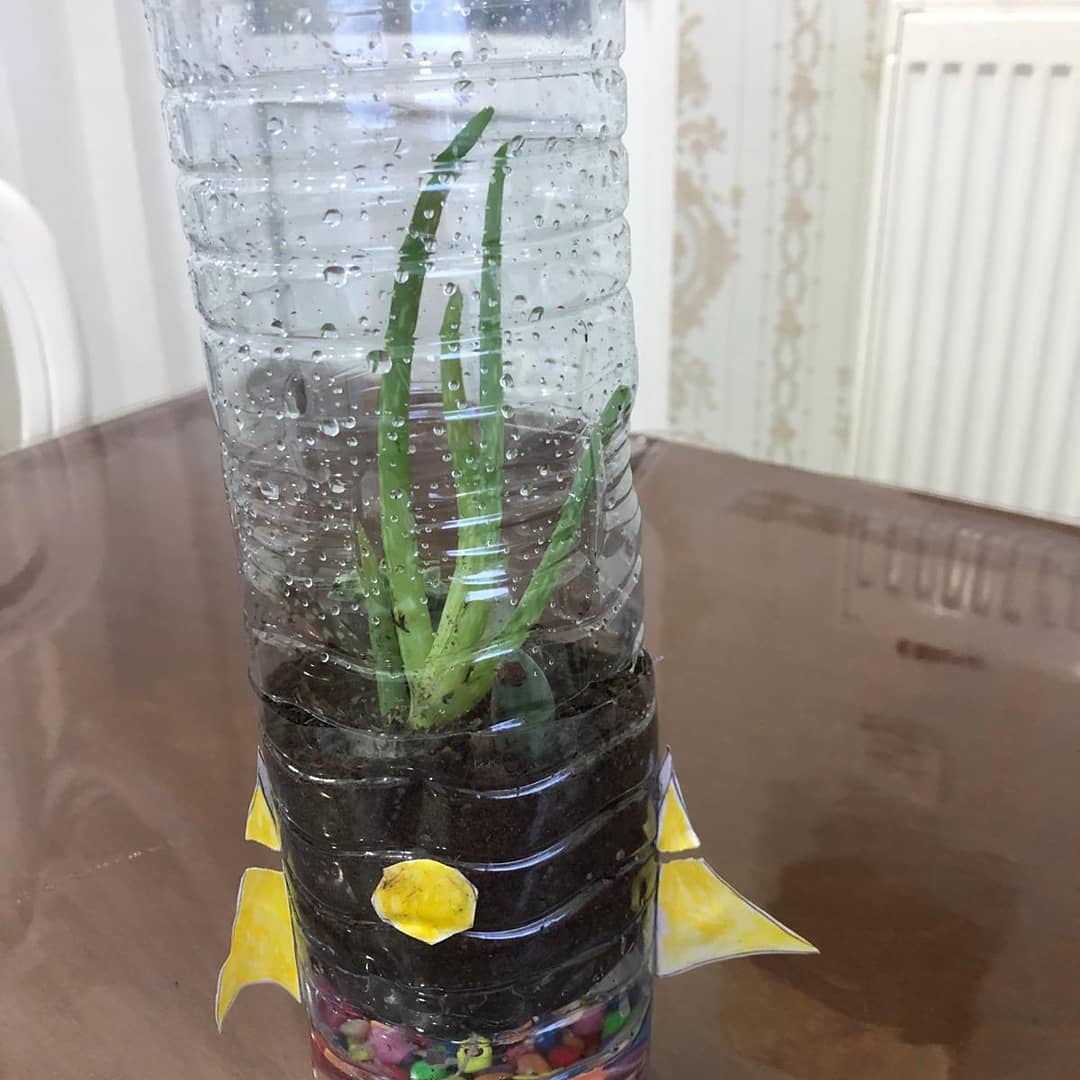 SAMSUN UĞUR OKULLARI İLKADIM KAMPÜSÜ 4.SINIF ÖĞRENCİMİZ ELİF DEVA erken STEM'DE TERARYUM YAPTI VE SEBZE YETİŞTİRDİ#samsunuğurokullarıilkadımkampüsü