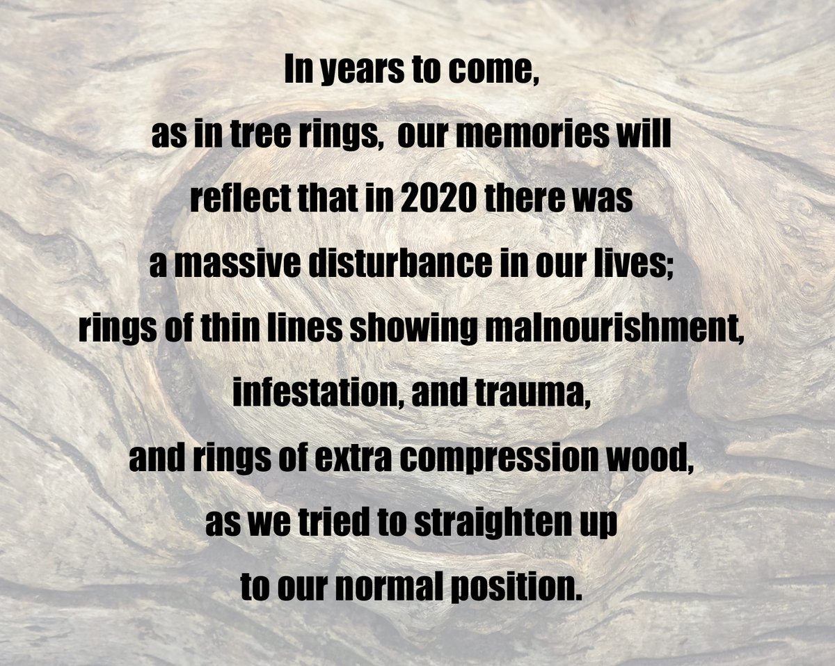 TimeToTimeline's tweet image. #globalgrief