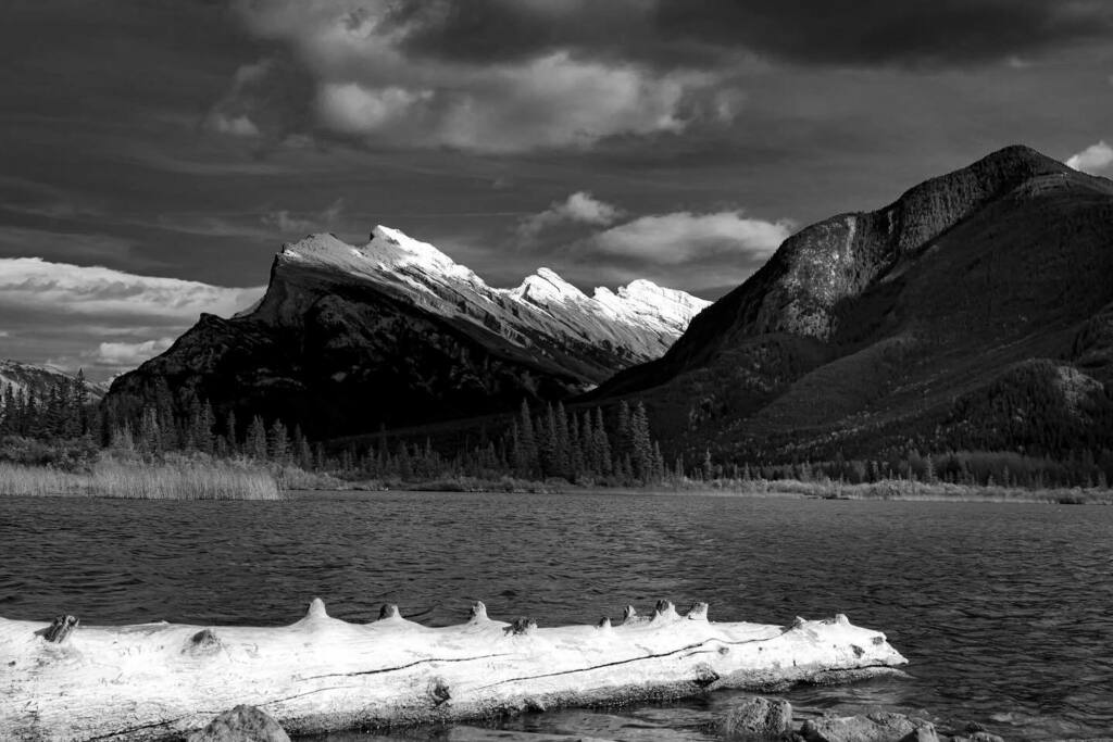 .
#lovethelightsavourtheshadows 
.
35mm prime
f/11
1/320
ISO 100
.
.
.
#blackandwhitephotography #blackandwhite #bnw #bnw_greatshots #bnw_captures #bnwphotography #landscapephotography #landscape #photooftheday #bnw_diamond #bwphotography #nofilter #expl… instagr.am/p/CJBltr8jyKo/