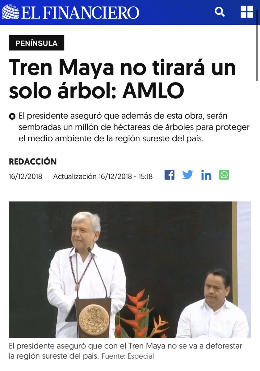 Amadoelquelolea's tweet image. ¿Ni un solo árbol?