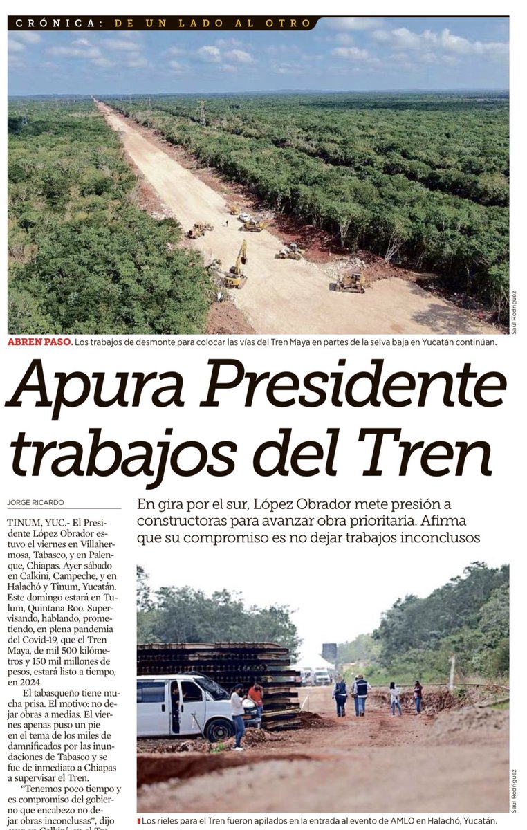 Amadoelquelolea's tweet image. ¿Ni un solo árbol?