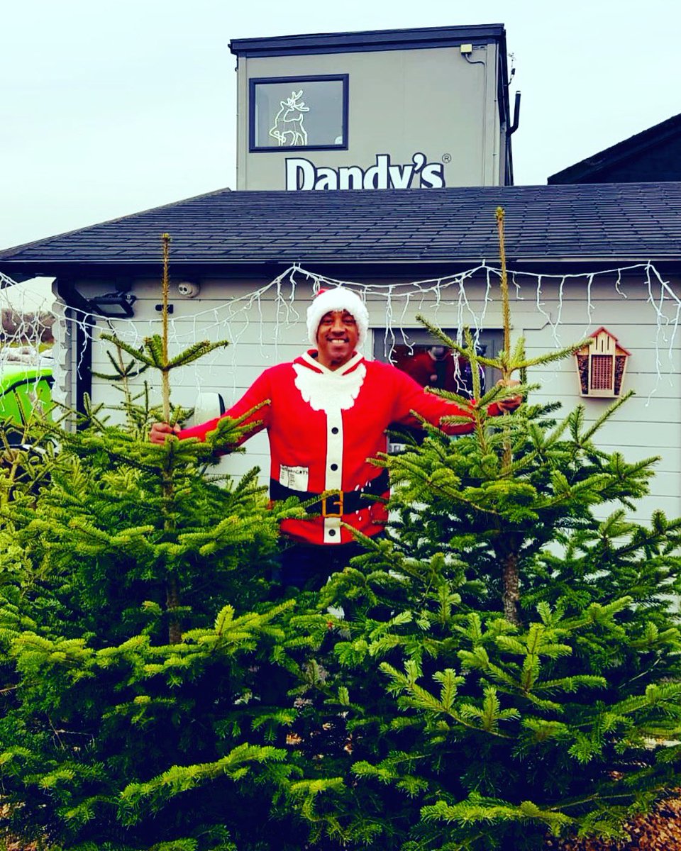 If you weren’t able to afford a Christmas Tree🎄this year, we’ve netted 10 &amp; left them by our front gate at Dandys.com on Sealand Rd for anyone who wants one, feel free to help yourself and have a lovely Christmas from us all &amp; here’s a 15% voucher code: mygardendeal