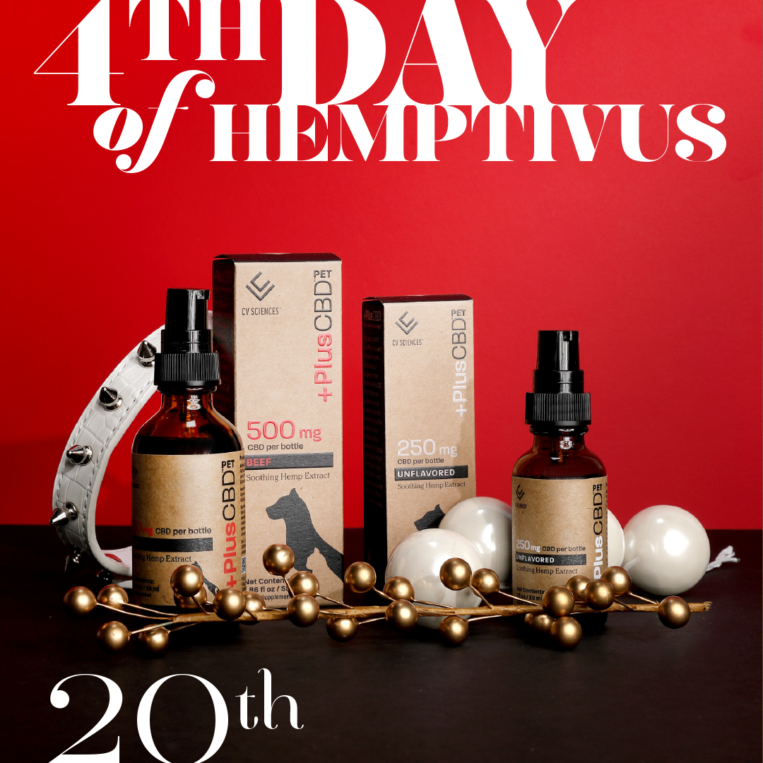YouPlusCBD's tweet photo. 9 DAYS OF #GIVEAWAYS! Day 4 ✨ Today it's all about your pets! Head over to our Instagram @youpluscbd for the chance to win #PlusCBD Pet for your furry friends! Enter the #Hemptivus giveaway today on our IG! Good luck ✨🎄🥰 👉https://t.co/fQKjlYvZKG https://t.co/GsjIGIY1h2