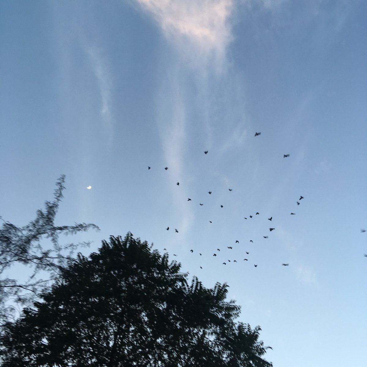 ponguru's tweet photo. #bluesky #Delhi in #December pleasantly surprised π―π―π― #LockdownEffect #lifeatIIITD #profgiri Pics taken around 1730hrs IST Sunday. \c @IIITDelhi https://t.co/3tGMR2Nj3S