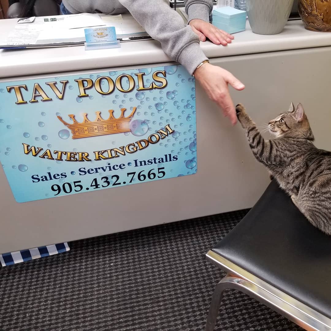 TAV POOLS (@tavpools) on Twitter photo 