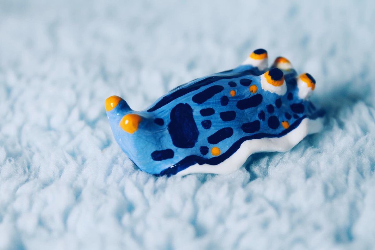 StufyTheBand's tweet photo. I made this happy Lil sea slug! :3 https://t.co/GMFHrYcBG9