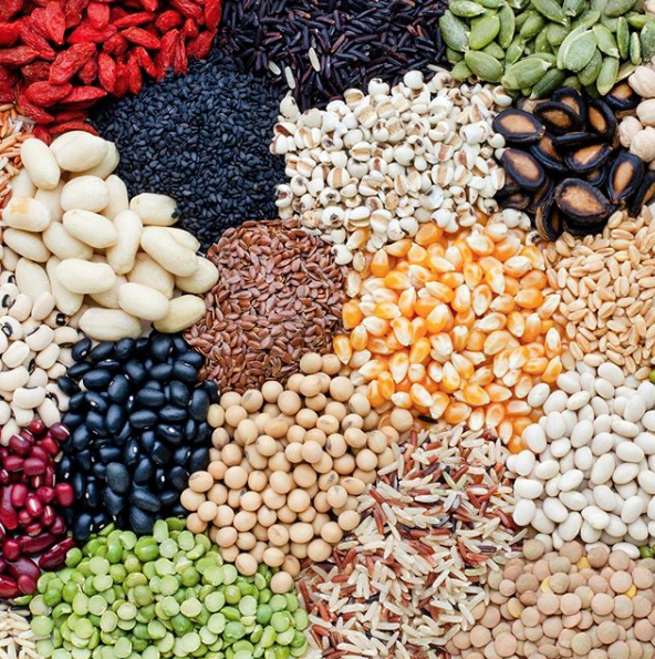FAOAmericas's tweet photo. 🌱Las semillas son la base principal para el sustento humano. 
.
.
✨La entrega de semillas calidad a los productores es necesaria para garantizar una producción de cultivos mejorada y enfrentar los crecientes desafíos ambientales. https://t.co/9trlalKQsP