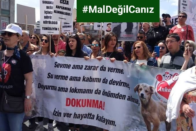 30 Bin twit olduk 👏👏👏
Gündemde tutup,
hayvan hakları yasasının çıkmasına vesile olalım...🙏🙏🙏
👇👇👇👇👇👇
#MalDeğilCanız