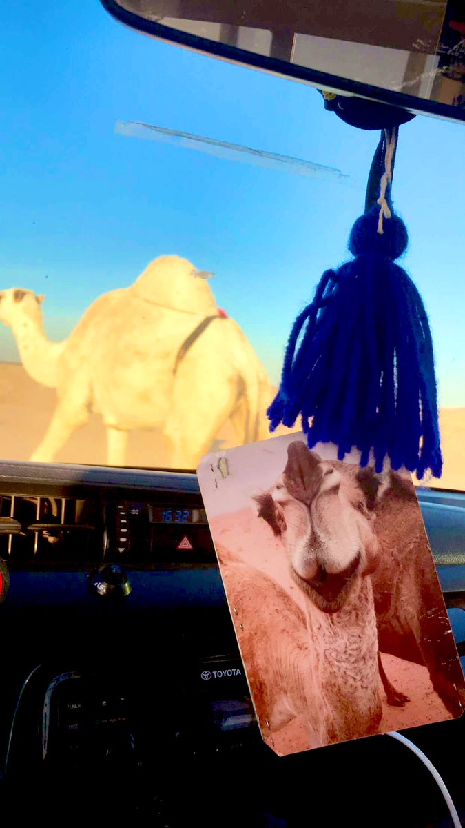 aldhmi157's tweet photo. #ناقه https://t.co/tpVqE55Ud8