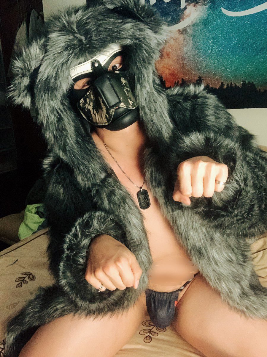 整個變身大狼狗 
一直摸自己的毛
嗷嗷❤️

#我怎麼這麼可愛
#快來擼我
#有夠好摸
#高雄穿還是爆熱
#在台北應該可以直接穿出門❤️ 
#魔胎封印
#請忽略那個肚子