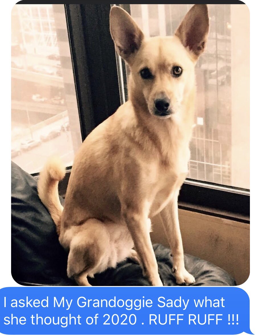 Barbara account (@barbarar2k1) on Twitter photo 