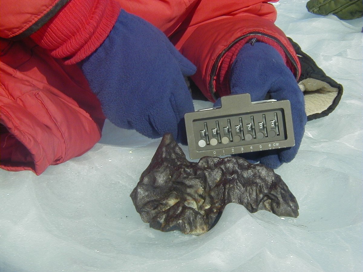 12-20-2000  #ANSMET2000 team found 47 meteorites on this day! Lots of flags marking locations.