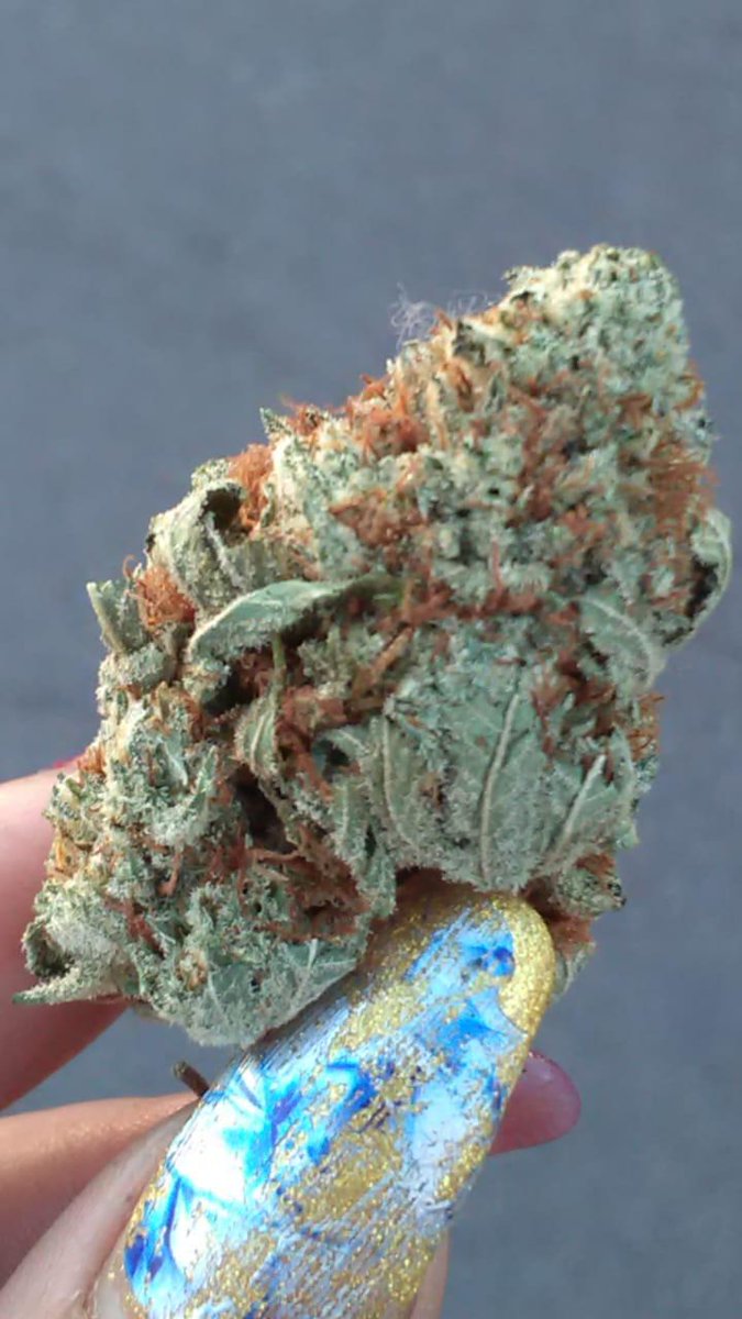 MedicatedSavy1's tweet photo. Wake n fawkin bake Ya fawks?! 💨👑😤
#viix #bhomberz #wakeandbake #onlyfans #subnow #dabsup #stonerchicks https://t.co/FsawNxjrk7