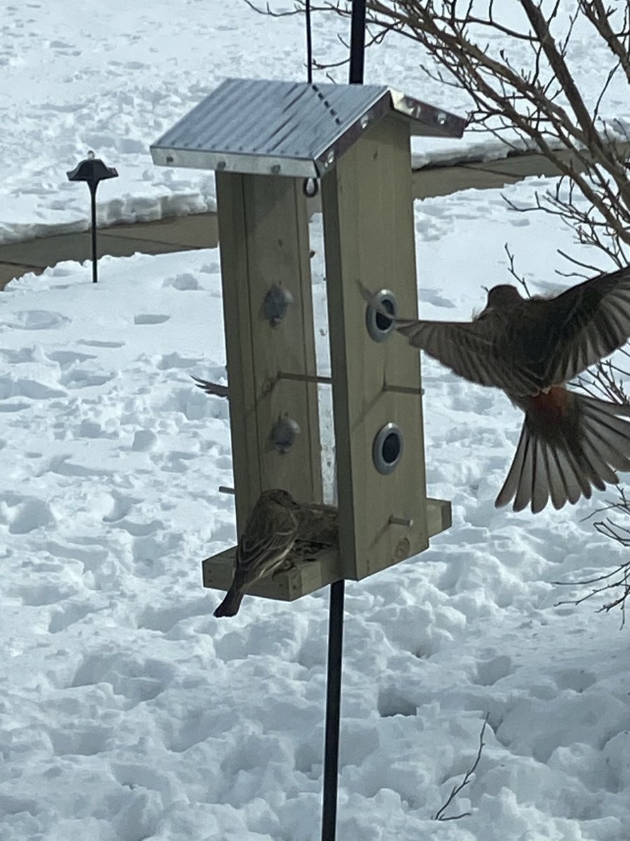 EaChapel's tweet photo. Fourth Sunday of Advent: taking off toward Christmas. https://t.co/EQNLV0RIvC