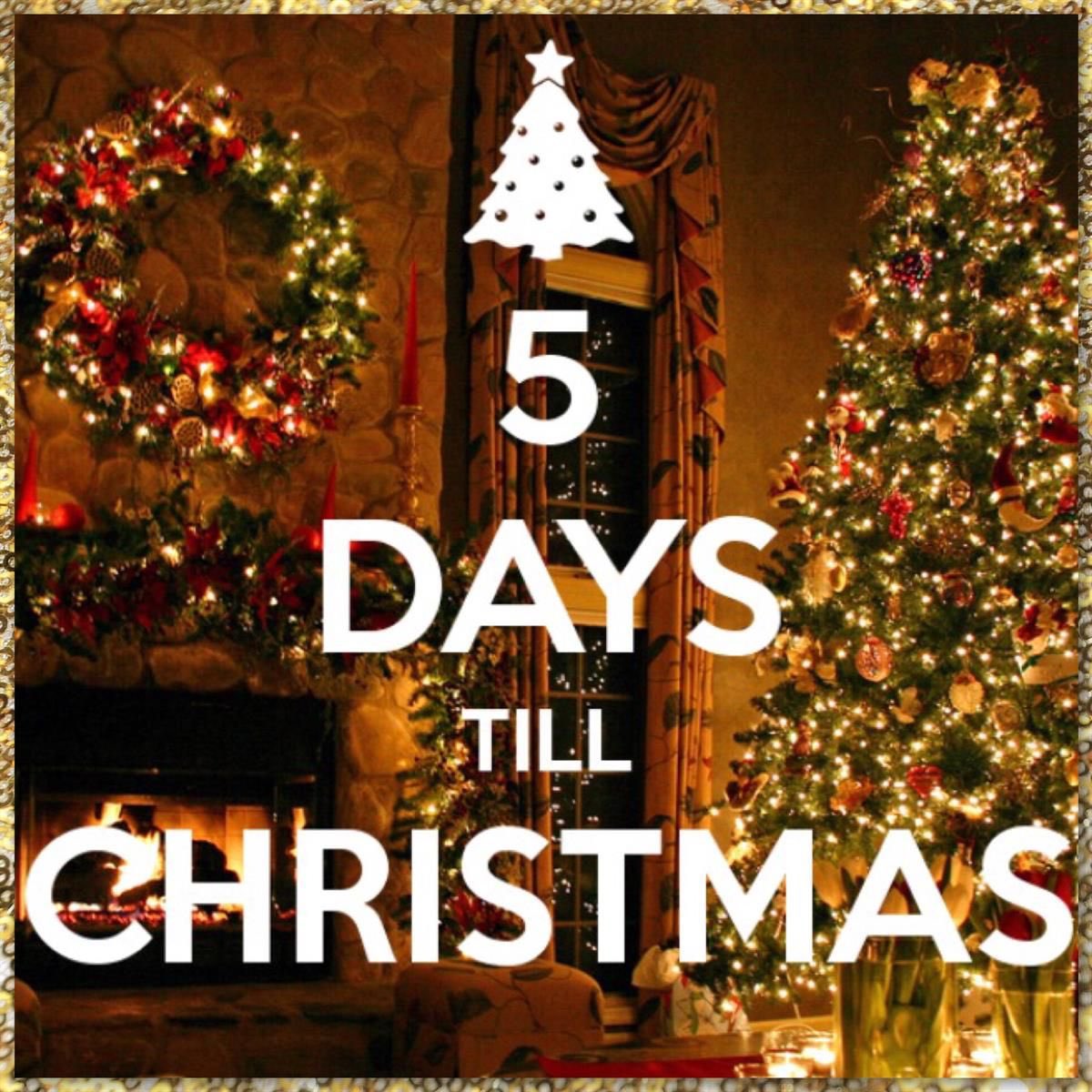 Reece28048254's tweet photo. 5 Days Until Christmas! Today’s challenge is to volunteer 5 hours over holiday break! @THS_JStew @THS_JStew @jsheadrick @houseths1 https://t.co/qox3WOwgYa