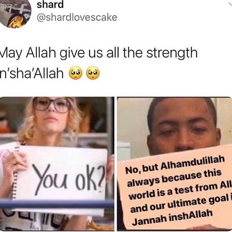 Ameen. 

Please Like 👍🏻 
Follow 👤 (@halalestmemes) 
Comment 👇🏻
Share 📲

#Beingmuslim #afghanmemes #hijabimemes #halalfunny #muslimhumor #muslimjokes #muslimmemes #muslimfun #muslimbanter #muslimfunny #funnymuslim #haramhumour #muslimbanter #asianmemes #harammemes #desimemes …