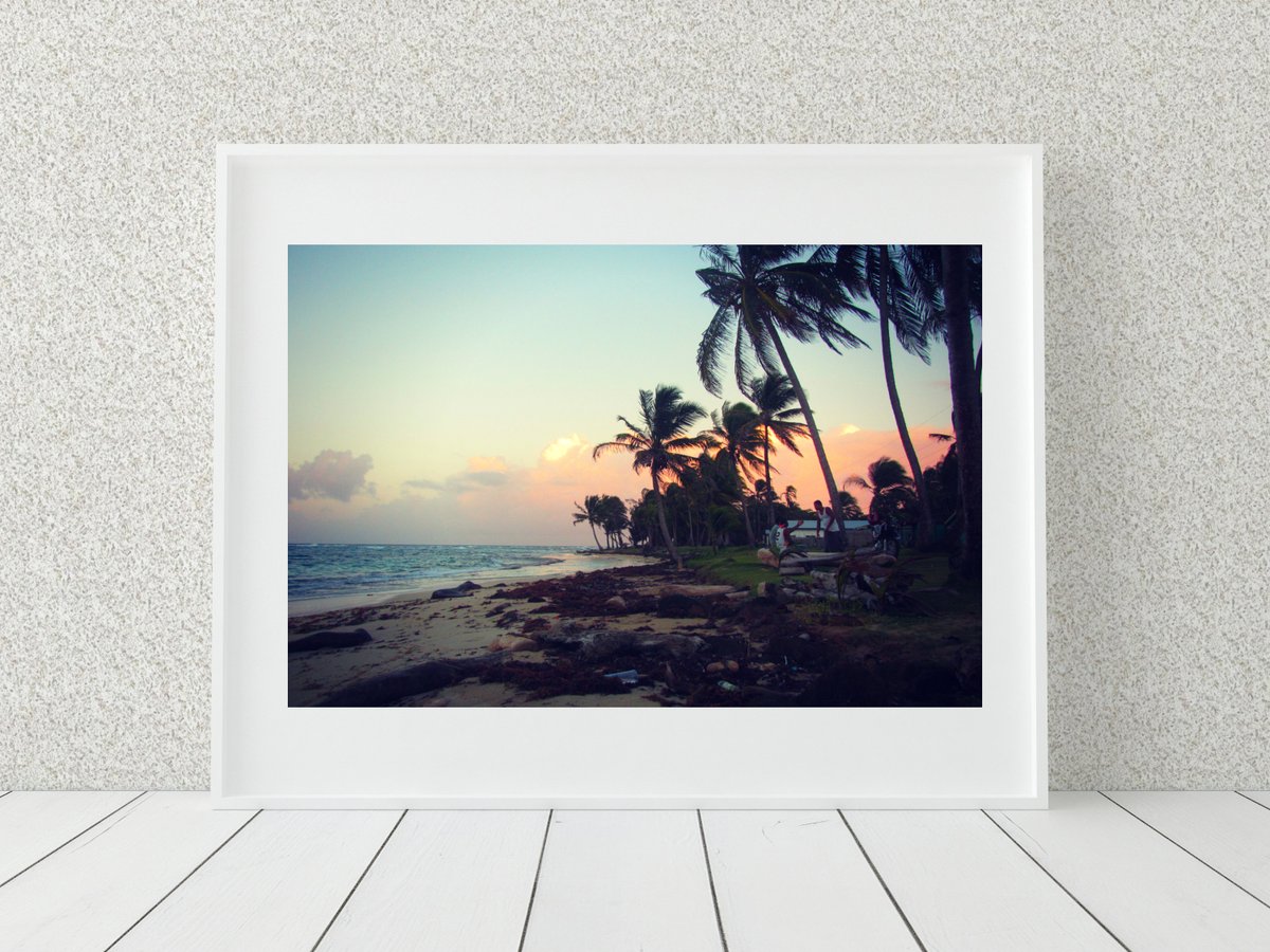 EnfocarPhoto's tweet image. Palm Tree Photo Print, Nicaragua Photography, Coastal Decor tuppu.net/cb970c76 #Etsy #EnfocarPhotography #PalmTreeDecor