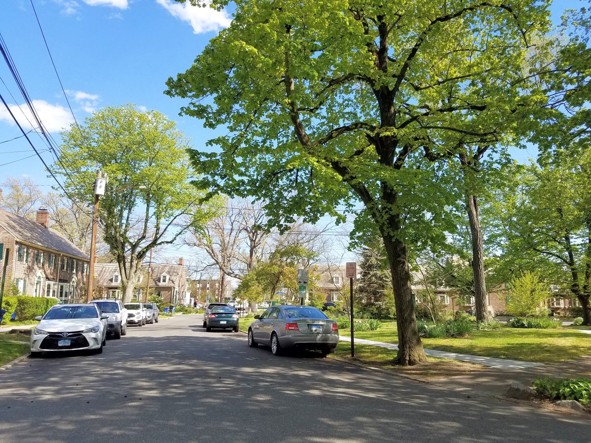 Here's the largest of the park space.