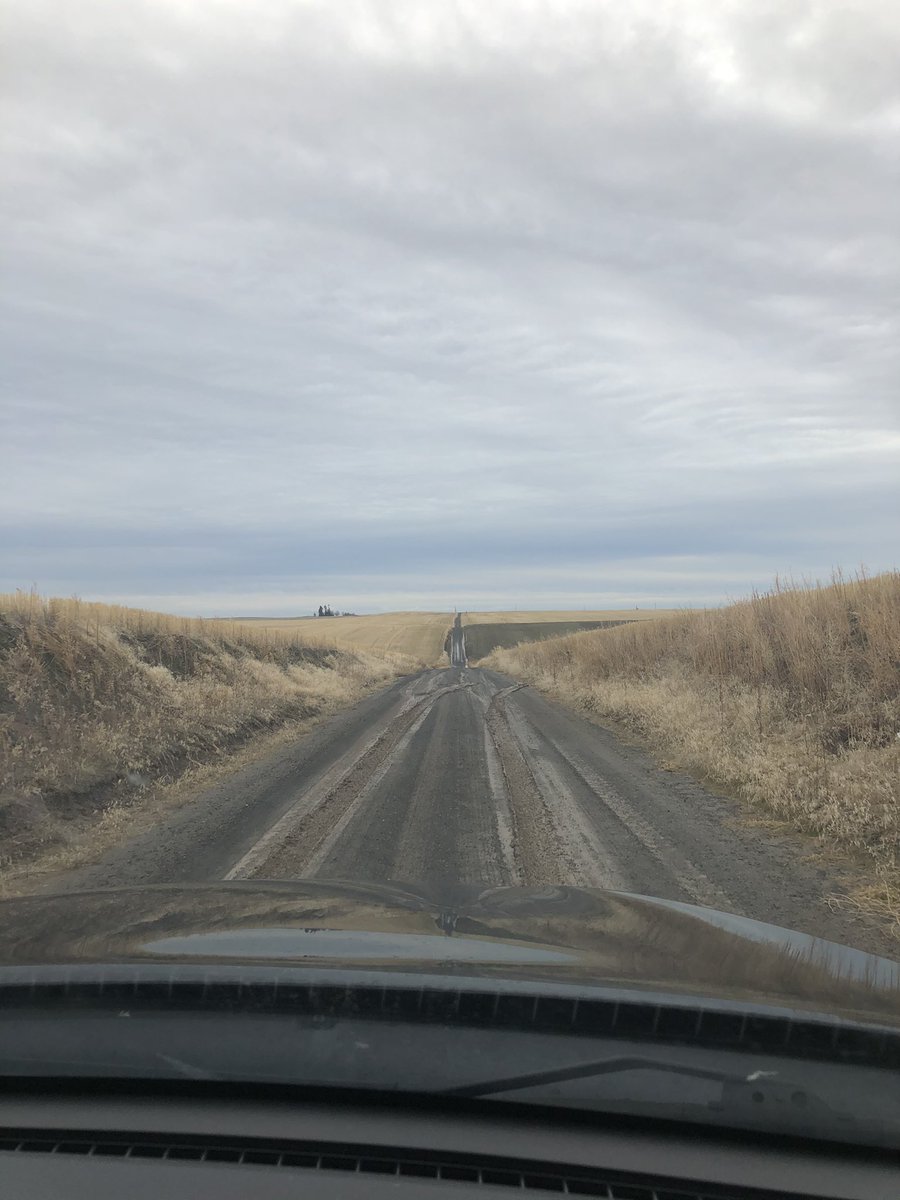 roadquill3000's tweet photo. 2020 restroom https://t.co/HttKPsoYx7