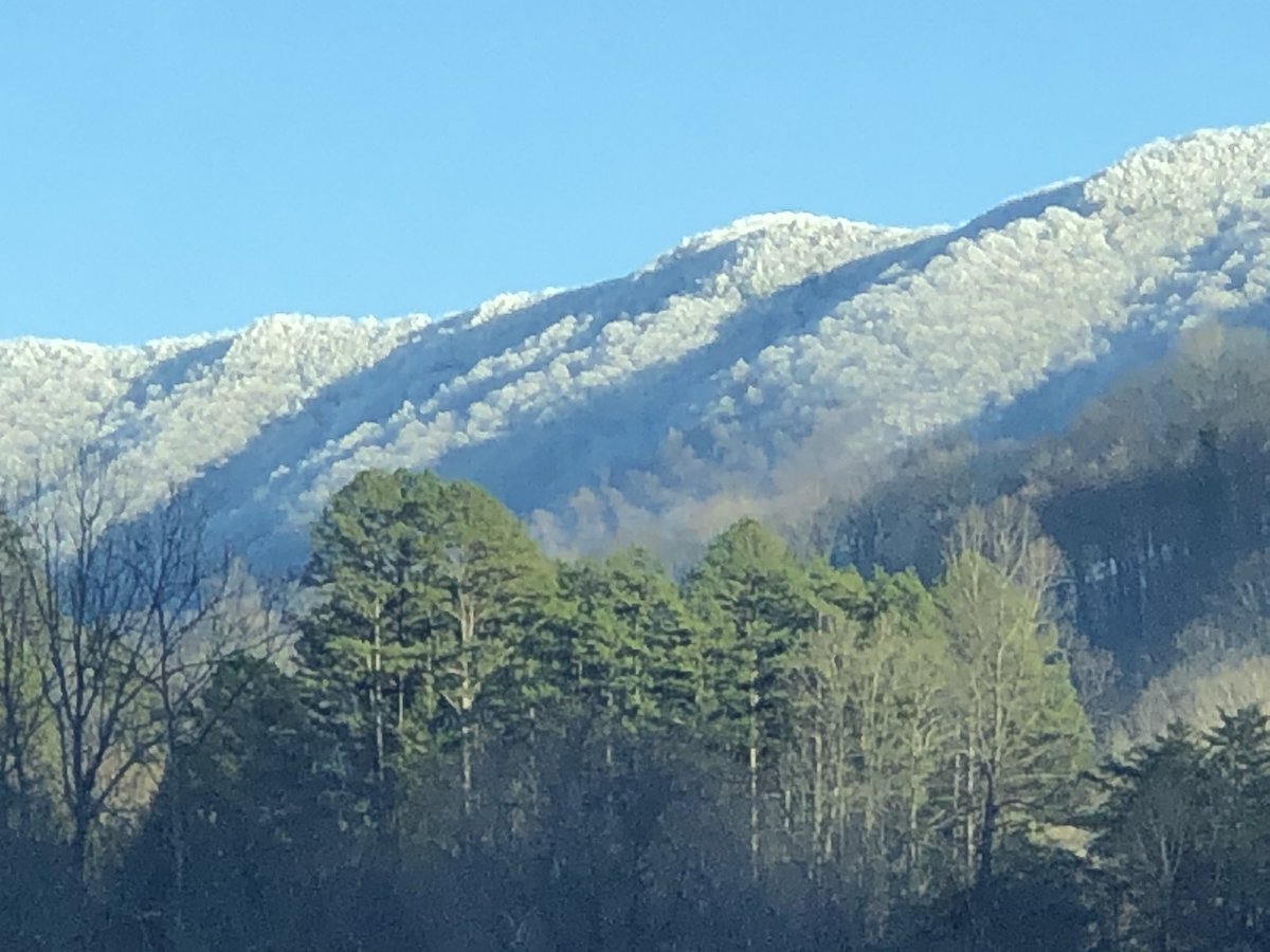 tinycabinky tweet picture
