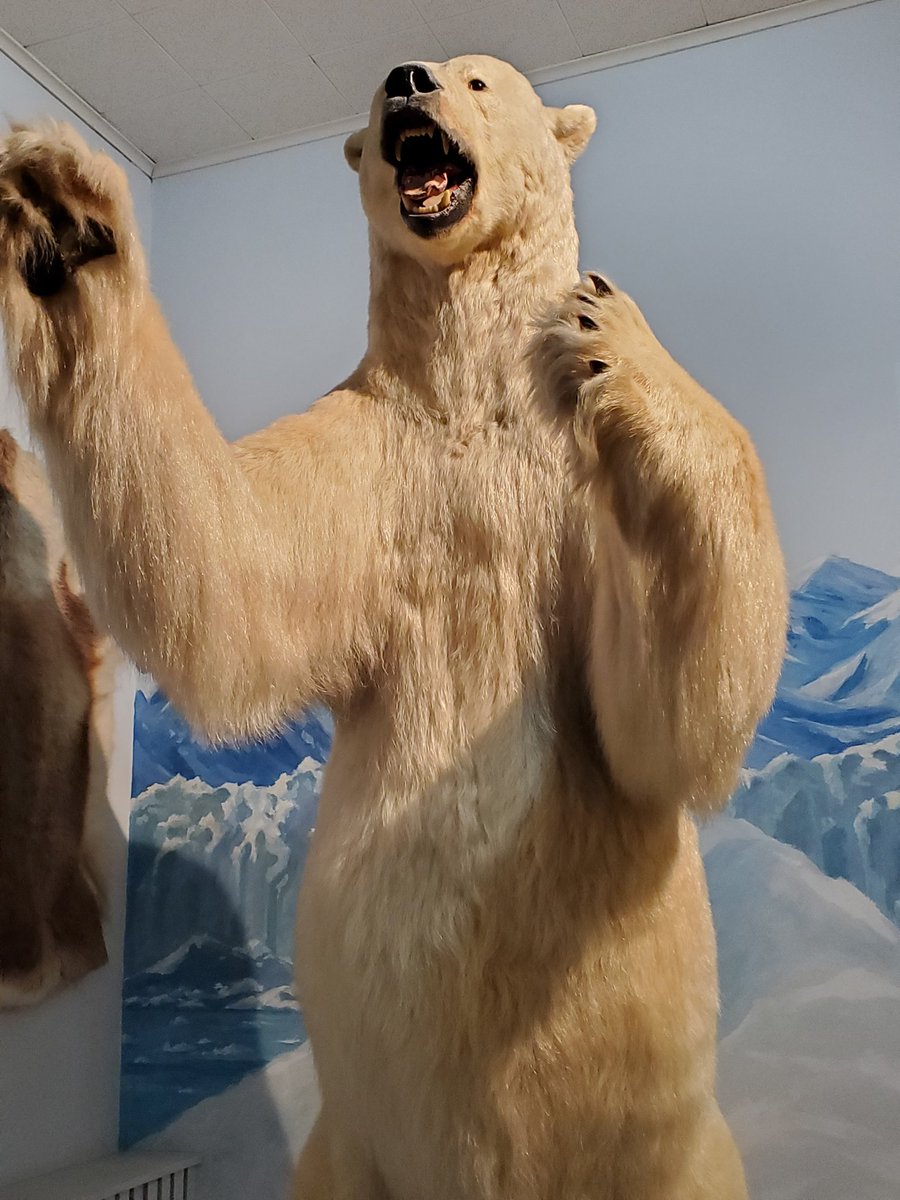 CMOROakRidge's tweet photo. Too cold and wet to play outside? Nanook says come to CMOR instead. We're open today from 1-4.
#CMORFamilyFun
#ExploreOakRidge https://t.co/RXhZKmAPa9