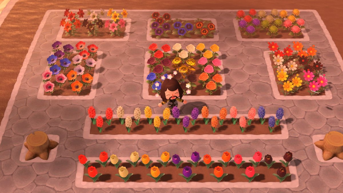 Adam Loftus tweet media