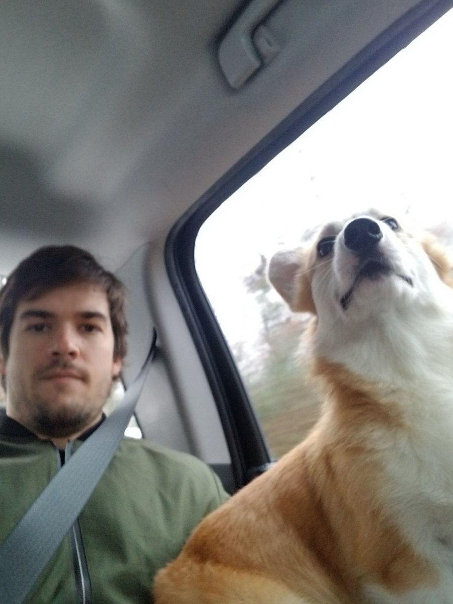 tommydoak's tweet photo. Bertie and I are going to bond over the next 6 hours

#corgistyle https://t.co/bVXrrXX7Zj