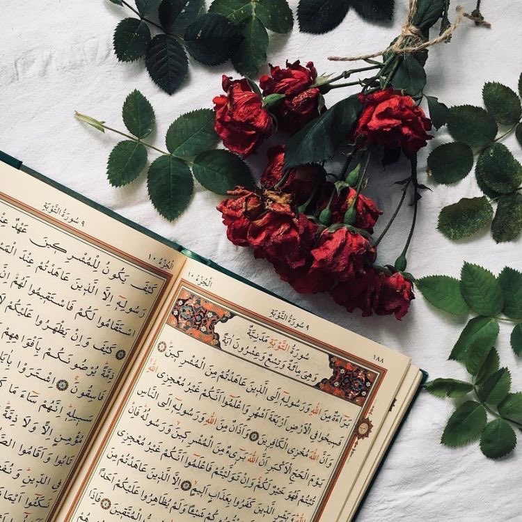FajrCoded's tweet photo. Messenger of Allah ﷺ said:

“Take up good deeds only as much as you are able, for the best deeds are those done regularly even if they are few.”

#Quran #islam 
https://t.co/fc4YQnaAqP https://t.co/RUho7R2ruX