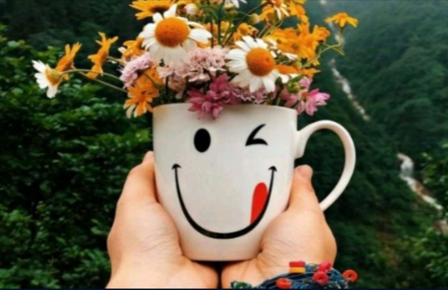 y00222's tweet photo. يعجبنِيَ آن يوآجة الآنسِآن  هذهَ الحيآهَ ..وَعلىَ شفتية بسمِة تترجِم عِن رحآبة الصِدر , وَسمآحة الخُلِق وَسعة الآحتمِآل... https://t.co/S3yxdSfizQ
