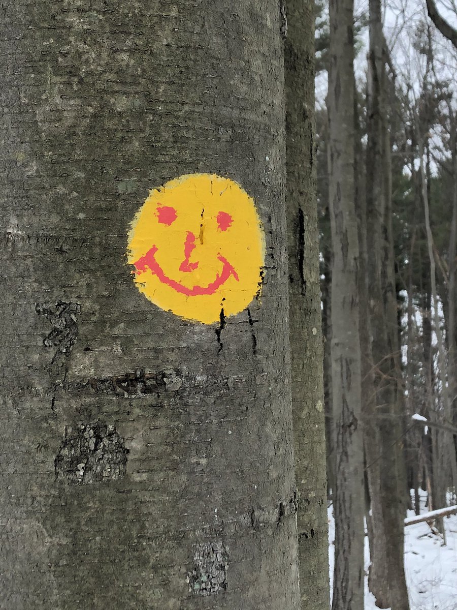 Jettatibbs's tweet photo. just saved myself from a banana peel wipeout & as I laughed maniacally, he was laughing with me. #myfe https://t.co/xhUnVIRrbX