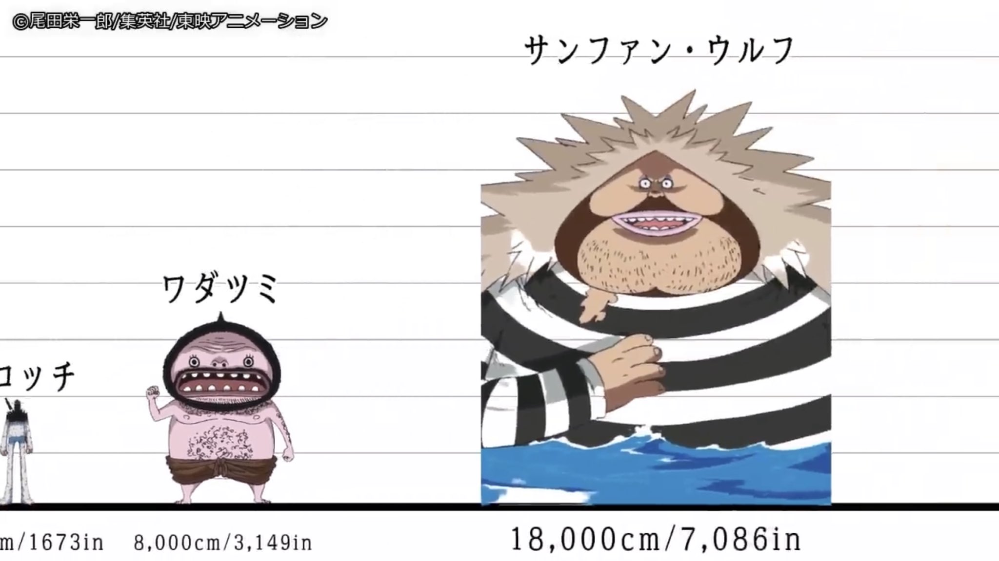 Raji Fu Shimabukuro ワンピースキャラクター身長比較 100選 ルフィとカタクリ身長差激し過ぎるだろw 世界は広過ぎるなww T Co Wj5uxh0uuv T Co Ddf1kpylk1 Twitter