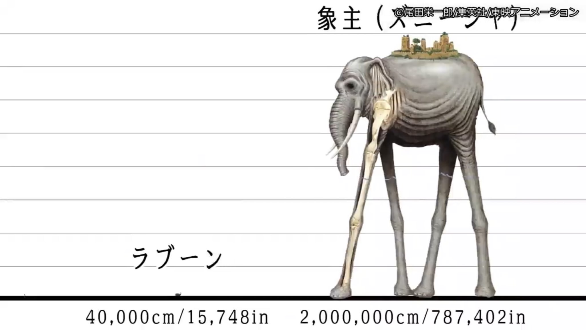 Raji Fu Shimabukuro ワンピースキャラクター身長比較 100選 ルフィとカタクリ身長差激し過ぎるだろw 世界は広過ぎるなww T Co Wj5uxh0uuv