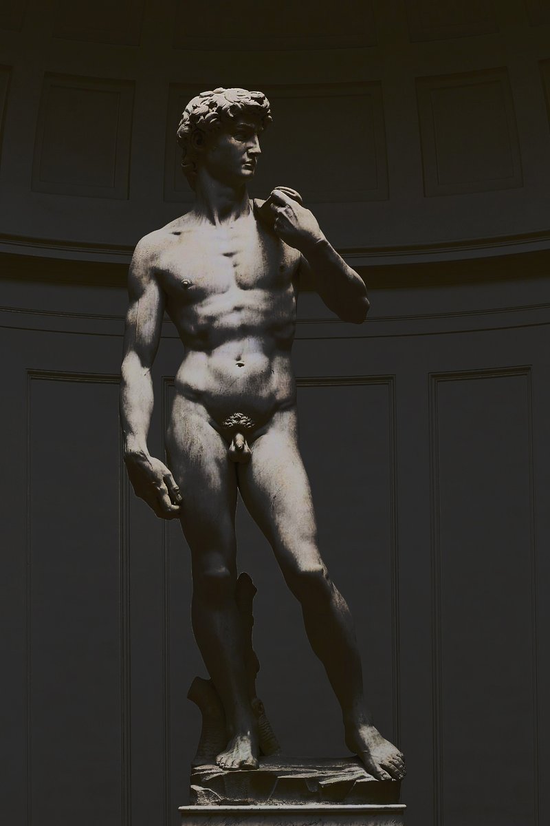 What the black mirror does is to consolidate the values of the (complex, confusing) scene in reality into a simplified picture. You lose the distinction between similar darks, and between similar lights, and get something like: