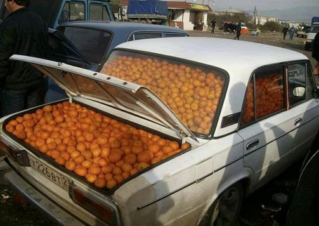 Omerchoudhary2's tweet photo. Me: Hey dad, that orange was really good last night 
*Desi dads the very next morning: https://t.co/ijSq5nAHOE