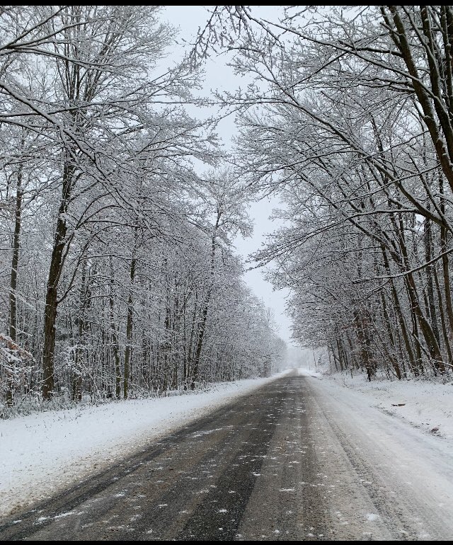 DaveBusch10's tweet photo. The snow has started to fall, setting a perfect landscape for the Christmas season. The road ahead,brings us all better times. 
I would like to wish all my friends,and their families a very Merry Christmas!! 
I am greatly missing spending time with all of you. Canada🇨🇦Dave https://t.co/QPrjxmt6BU