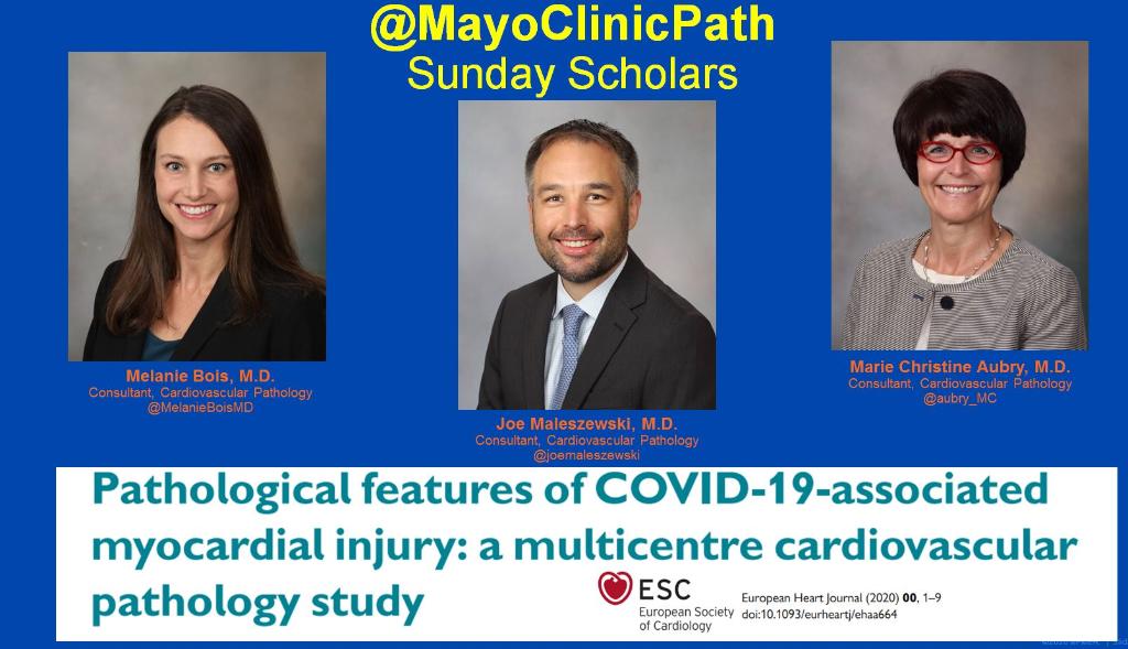 #mayopath #SundayScholars presents an exciting new #CVPath publication by @MelanieBoisMD @joemaleszewski and @aubry_mc et al.

@ESC_Journals  Read it here: bit.ly/3nXlwpb