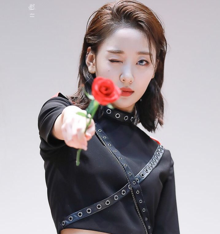 sweetcrazyjoon's tweet photo. Sapphic orbits today is our day!
#AppleSelcaDay @loonatheworld https://t.co/sx4izysEWX